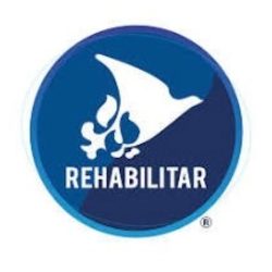 Rehabilitar